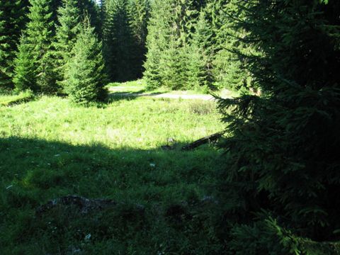 Foto 37
